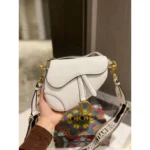 Dior Handbag For Women (CSO1176)