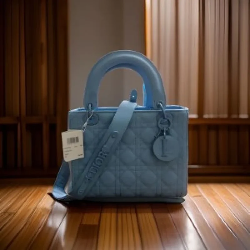 Christian Dior Handbag For Women (SW1141)