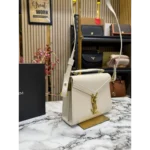 Yves Saint Laurent Handbag For Women (BOT875)