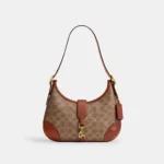Coach Handbag For Women (PH45)