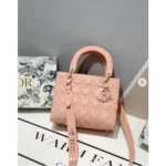Stylish Christian Dior Handbag For Women (SW2199)