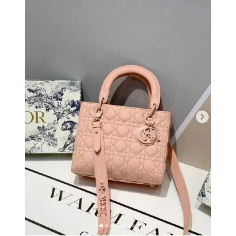 Stylish Christian Dior Handbag For Women (SW2199)