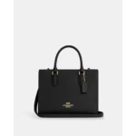 Coach Handbag For Women (BOT1086)