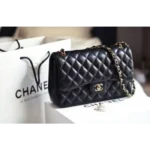 Chanel Handbag For Women (BOT883)