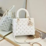 Dior Handbag For Women (CSO1185)