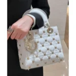 Dior Handbag For Women (CSO1185)