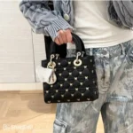 Dior Handbag For Women (CSO1186)