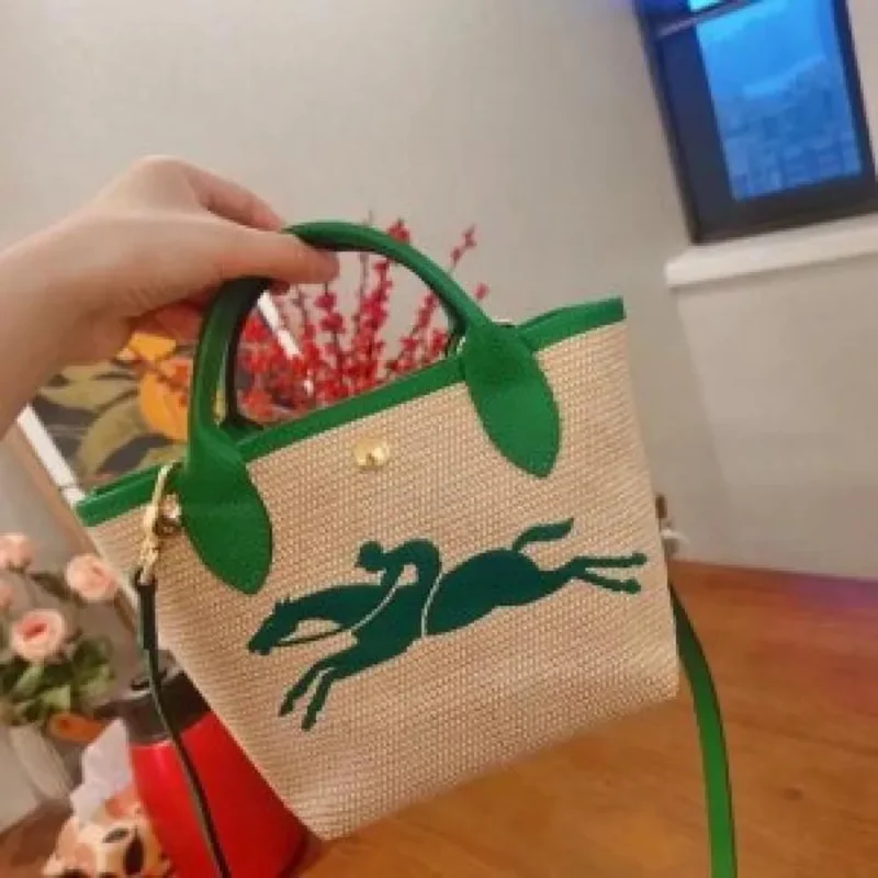 Long Champ Handbag For Women (PH56)