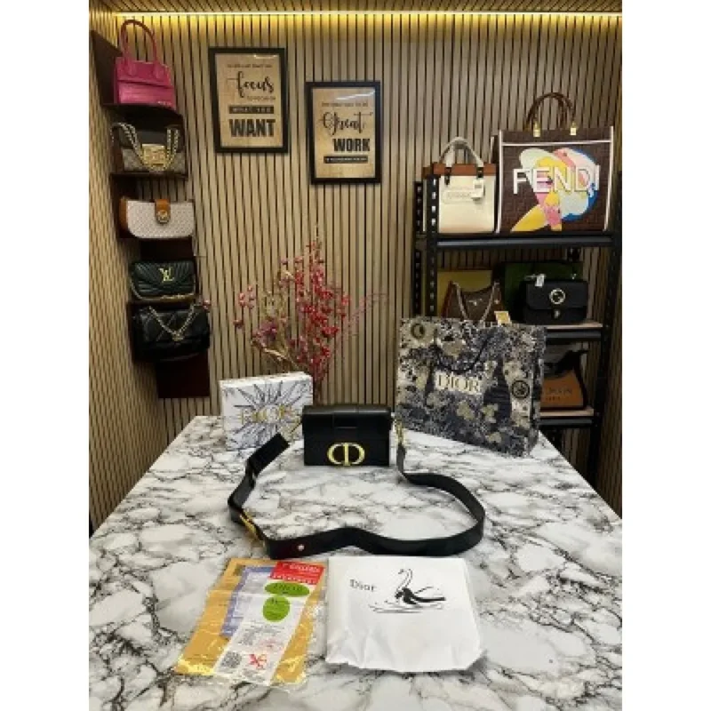 Christian Dior Handbag For Women (SW1153)