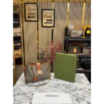 Gucci Handbag For Women (BOT997)