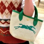 Long Champ Handbag For Women (PH56)