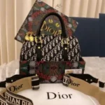 Trendy Dior Handbag For Women (SW5322)