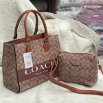 Classic Coach Handbag For Women (LNL10)