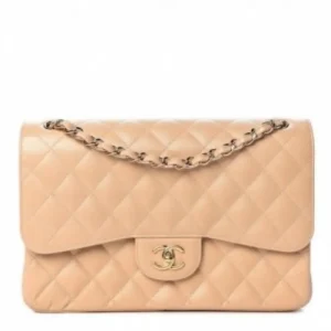 Premium Chanel Handbag For Women (J893)