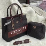 Classic Coach Handbag For Women (LNL11)