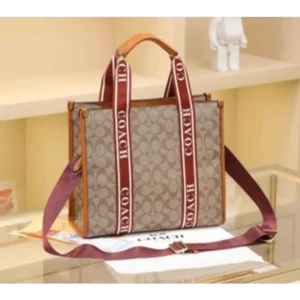 Premium Coach Handbag For Women (J902)