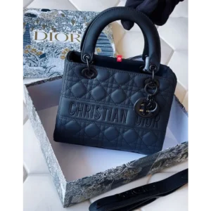 Premium Christian Dior Handbag For Women (J882)