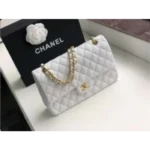 Classy Chanel Handbag For Women (J1049)