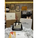 Trendy Coach Handbag For Women (SW5331)