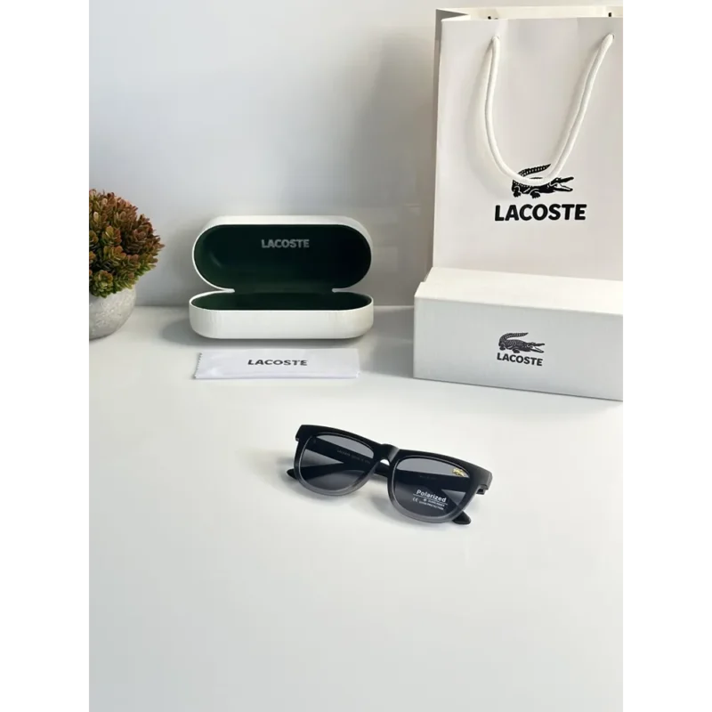 Trendy Rayban Sunglasses (DW0101)