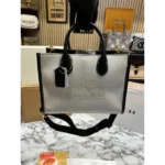 Trendy Coach Handbag For Women (SW5331)