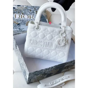 Premium Christian Dior Handbag For Women (J883)