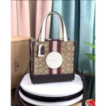 Trendy Coach Handbag For Women (SW5336)