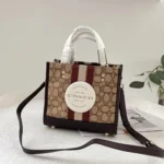 Trendy Coach Handbag For Women (SW5336)