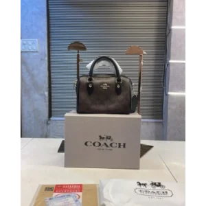 Premium Coach Handbag For Women (J919)