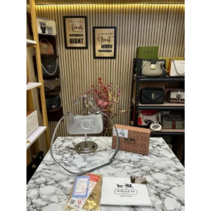 Imported Coach Handbag For Women (CT581)