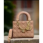 Trendy Dior Handbag For Women (SW5318)