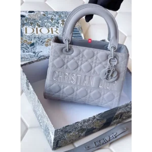 Premium Christian Dior Handbag For Women (J886)