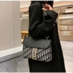 Classy Christian Dior Handbag For Women (J1085)