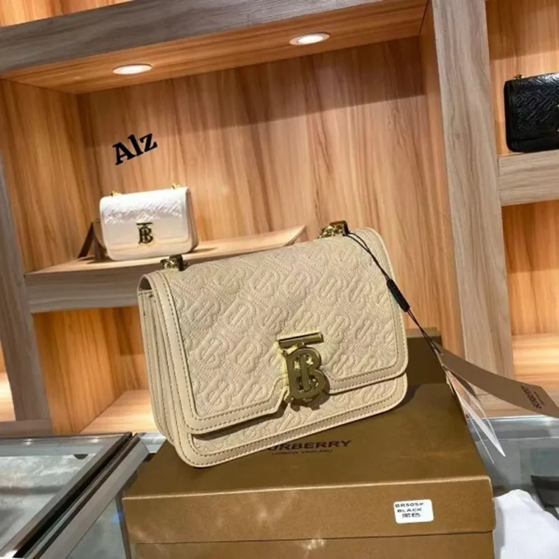 Trendy Burberry Handbag For Women (SW5355)
