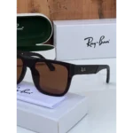 Trendy Rayban Sunglasses (DW088)