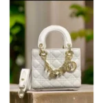 Trendy Dior Handbag For Women (SW5317)