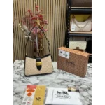 Trendy Coach Handbag For Women (SW5360)