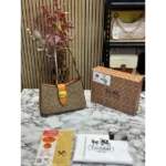 Trendy Coach Handbag For Women (SW5361)