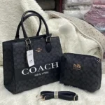 Classic Coach Handbag For Women (LNL09)