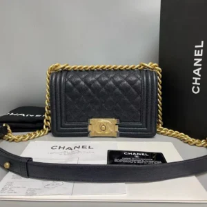 Premium Chanel Handbag For Women (LNL20)