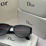 Premium Dior Sunglasses (AKI71)