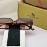 Premium Burberry Sunglasses (AKI89)