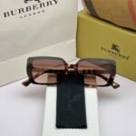 Premium Burberry Sunglasses (AKI89)