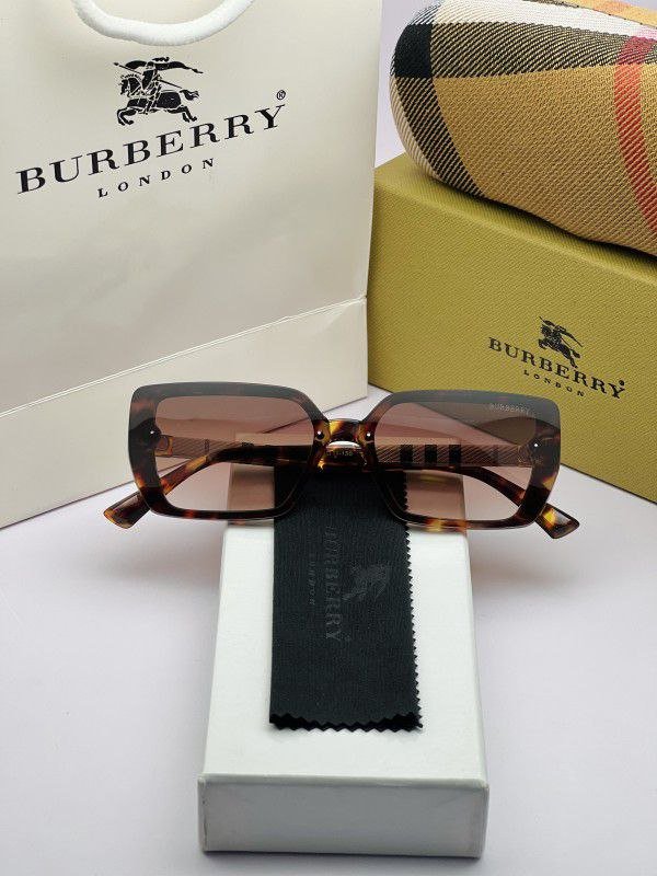 Premium Burberry Sunglasses (AKI89)