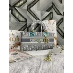 Stylish Christian Dior Handbag For Women (SFS14)