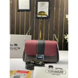 Stylish Coach Handbag For Women (SFS24)