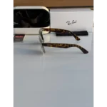 Rayban Sunglasses (ETS216)