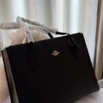 Coach Handbag For Women (LAB1250)