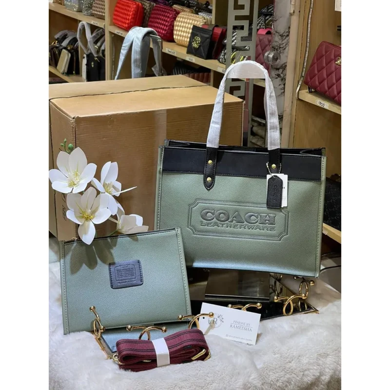 Coach Handbag For Women (LAB1760)