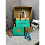 Coach Handbag For Women (LAB1761)